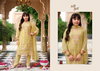 Dazzle By Eba Nanni Munni Organza Kids Girls Wear Wholesalers In Surat